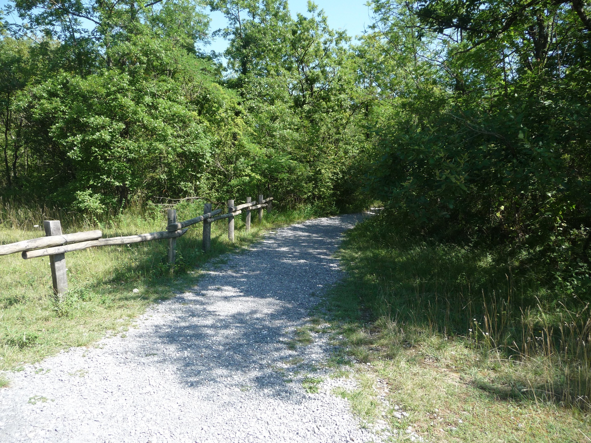 Balade aines sentier de balade dans la nature