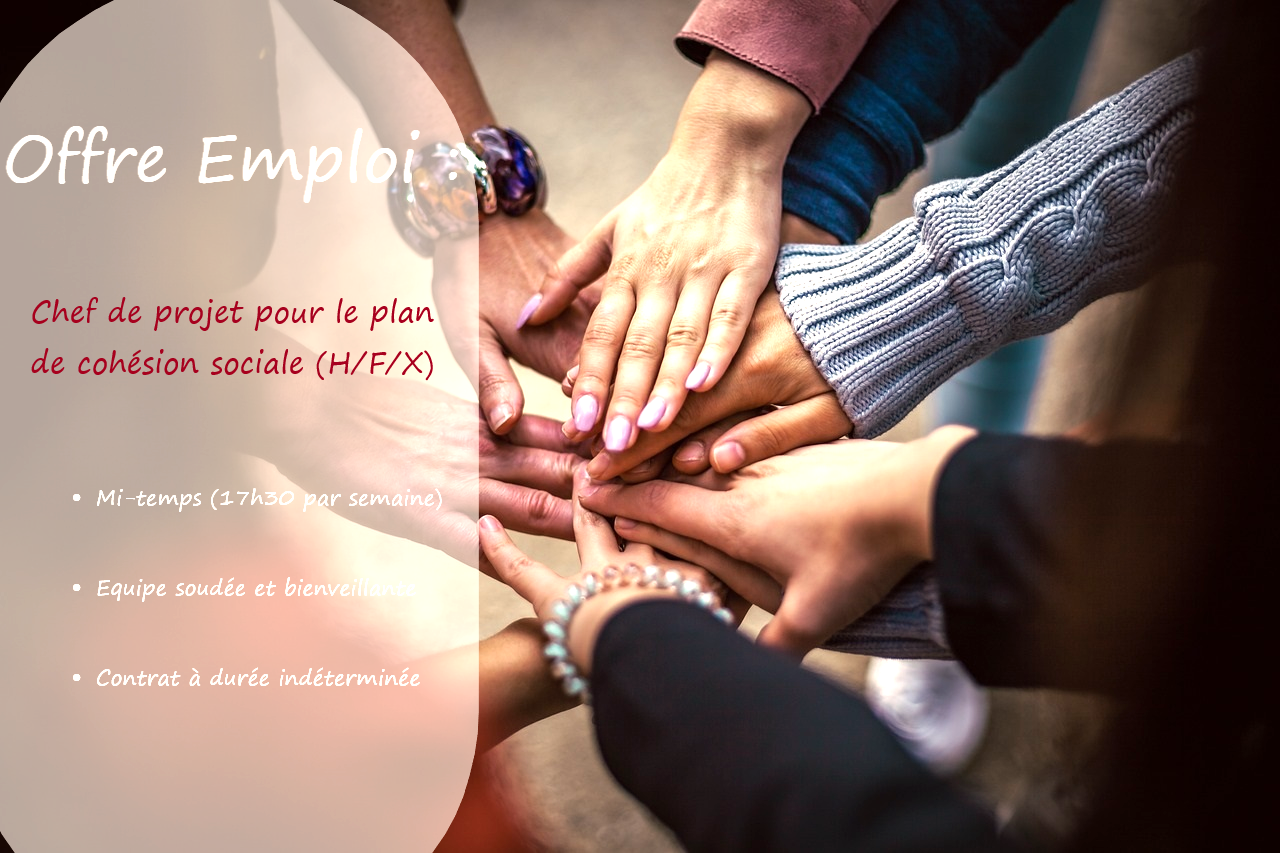 Offre emploi chef de projet plan cohésion sociale