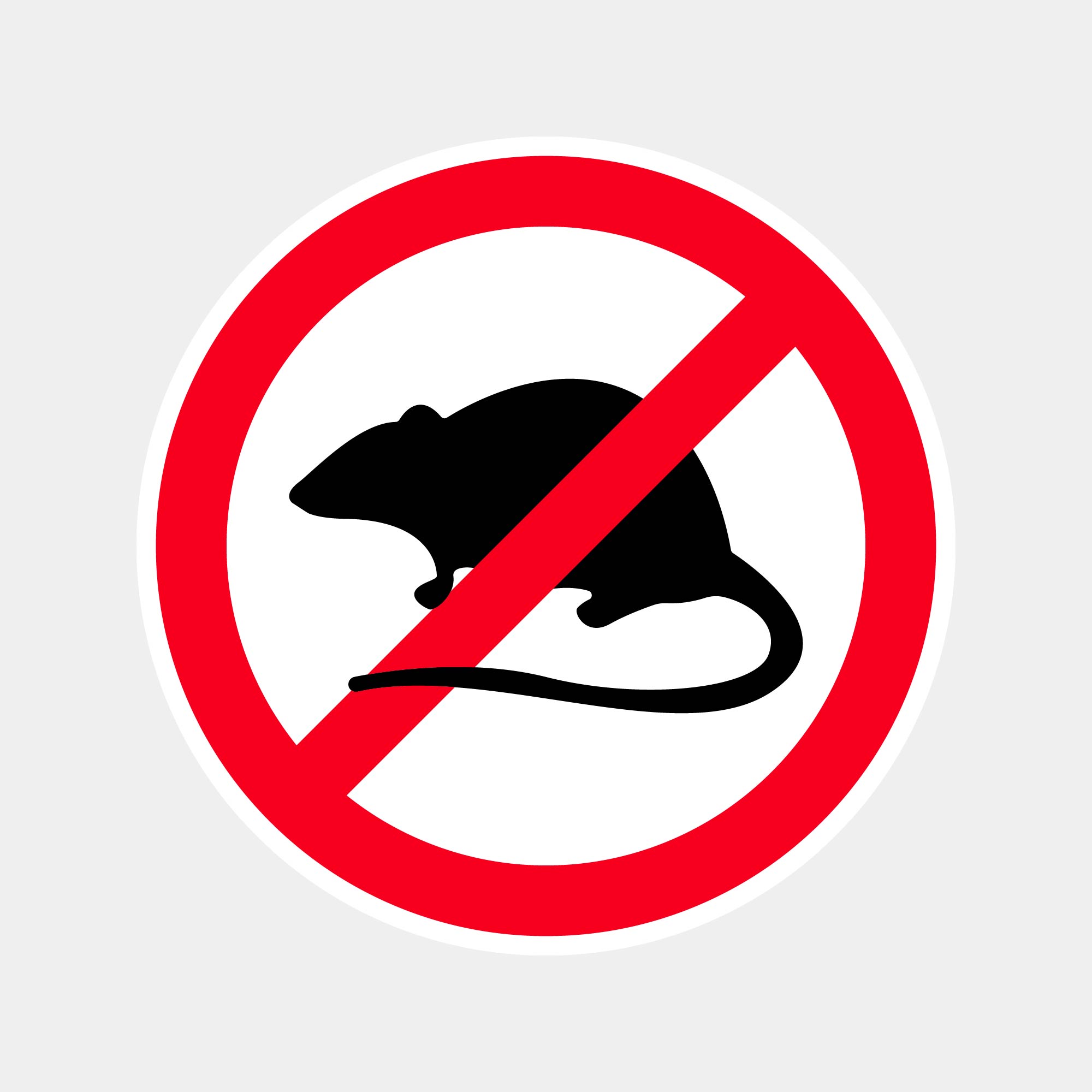 No rats vector icon. No rats icon symbol. Vector illustration