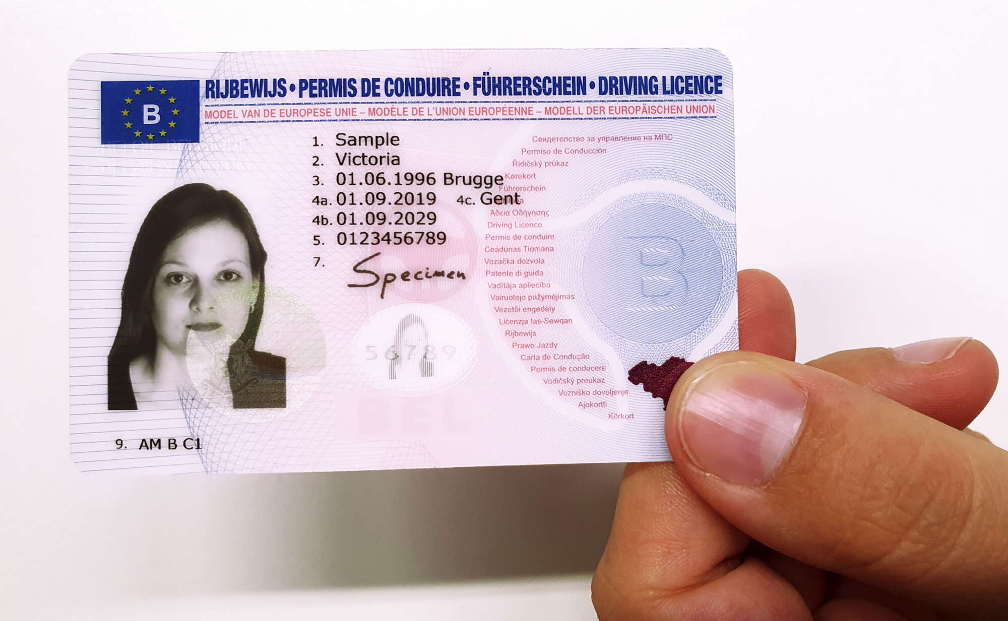 beldrive permis