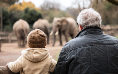 Excursion intergénérationnelle à Pairi Daiza – Samedi 27 septembre