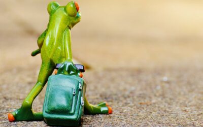 Passage des batraciens : adaptation de la vitesse des Déportés