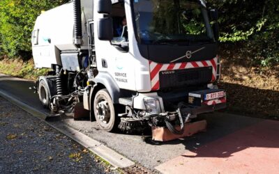 Haies, arbres et trottoirs : pensons-y avant l’hiver !